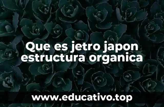 Que es jetro japon estructura organica
