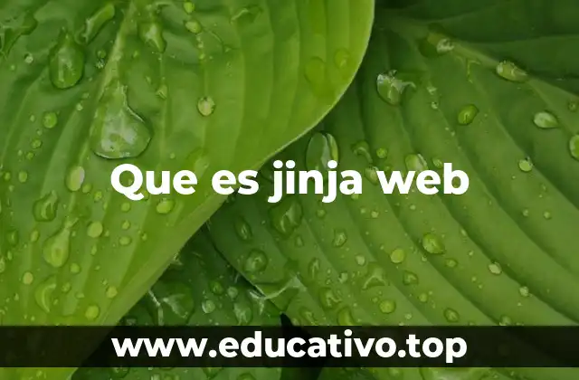 Que es jinja web