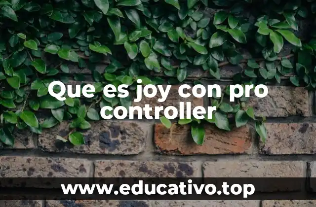 Que es joy con pro controller