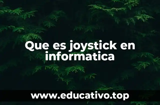 Que es joystick en informatica