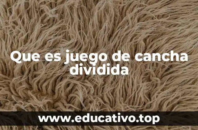 Que es juego de cancha dividida