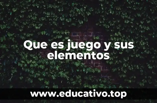 Que es juego y sus elementos