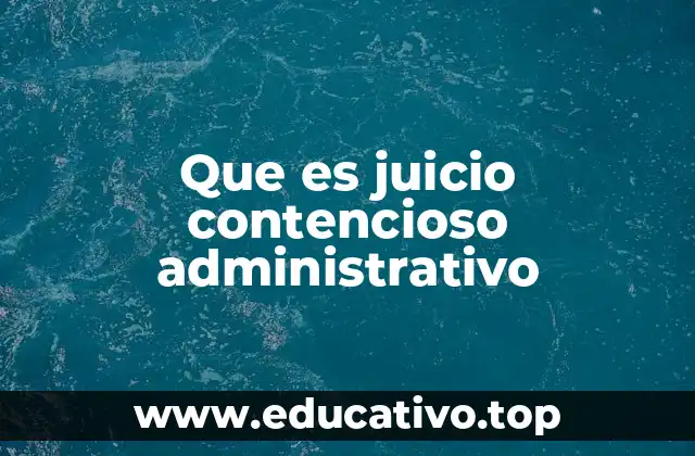 El papel del juicio contencioso en el equilibrio de poderes