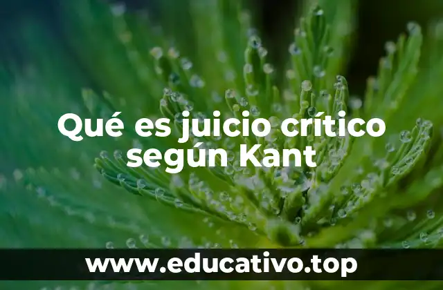 Qué es juicio crítico según Kant