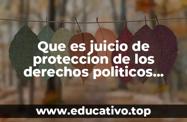Que es juicio de proteccion de los derechos politicos electorales