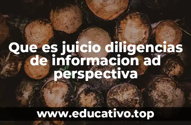 Que es juicio diligencias de informacion ad perspectiva
