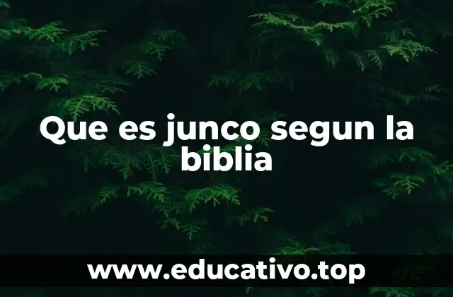 Que es junco segun la biblia