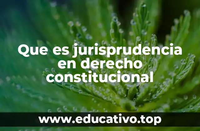 Que es jurisprudencia en derecho constitucional