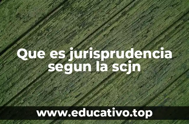 Que es jurisprudencia segun la scjn