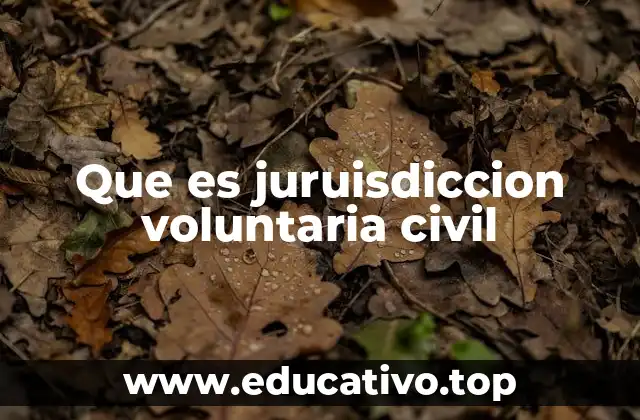 Que es juruisdiccion voluntaria civil