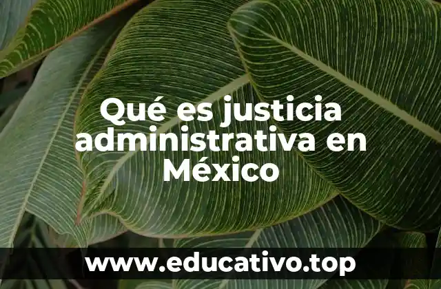 Qué es justicia administrativa en México