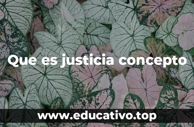 La justicia como pilar de una sociedad funcional