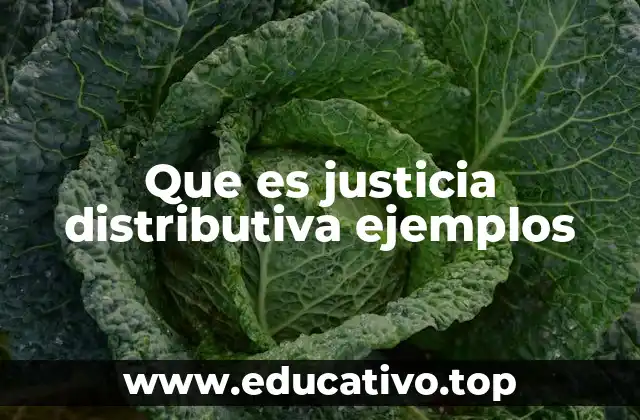 Que es justicia distributiva ejemplos