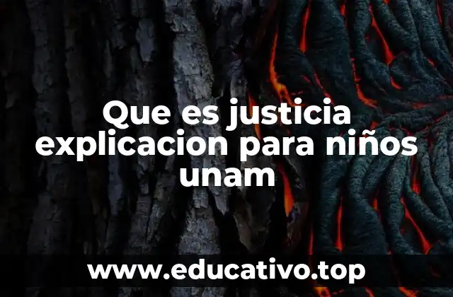 Que es justicia explicacion para niños unam