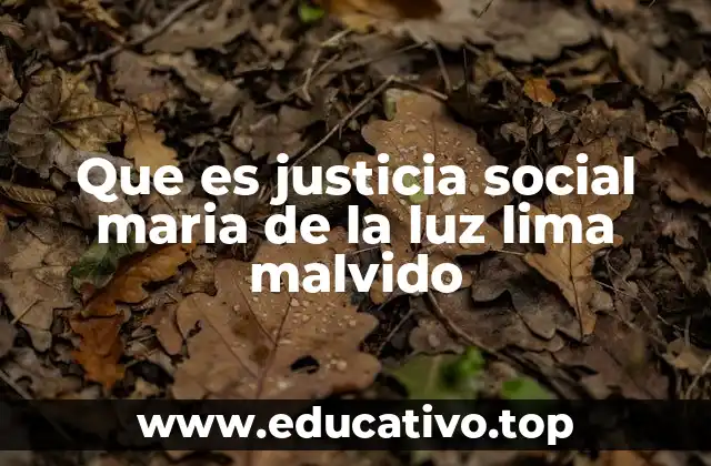 Que es justicia social maria de la luz lima malvido