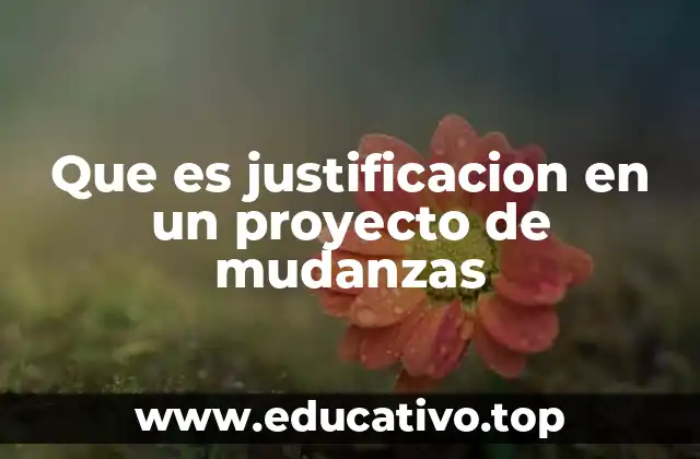 Que es justificacion en un proyecto de mudanzas