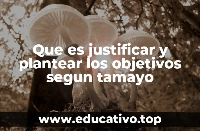 Que es justificar y plantear los objetivos segun tamayo