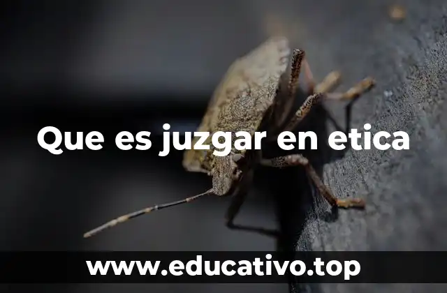 Que es juzgar en etica
