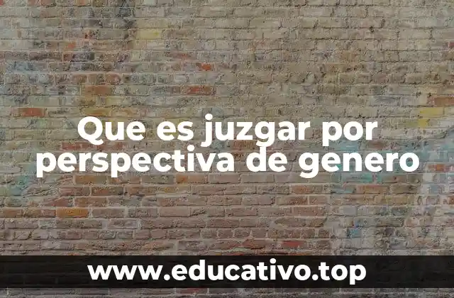 Que es juzgar por perspectiva de genero