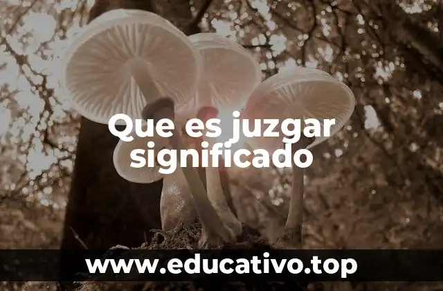 Que es juzgar significado