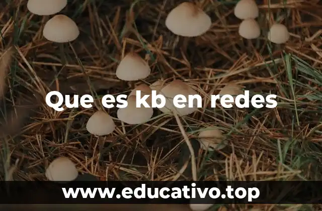 Que es kb en redes