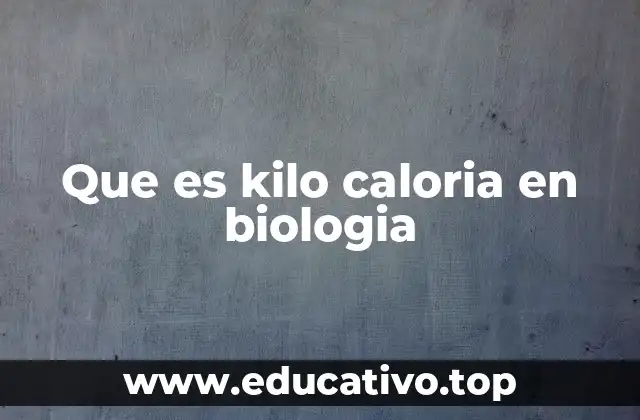 Que es kilo caloria en biologia