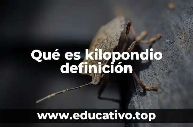 Qué es kilopondio definición