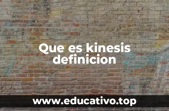 Que es kinesis definicion