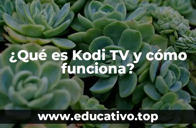 ¿Qué es Kodi TV y cómo funciona?