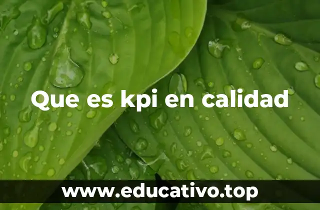 Que es kpi en calidad