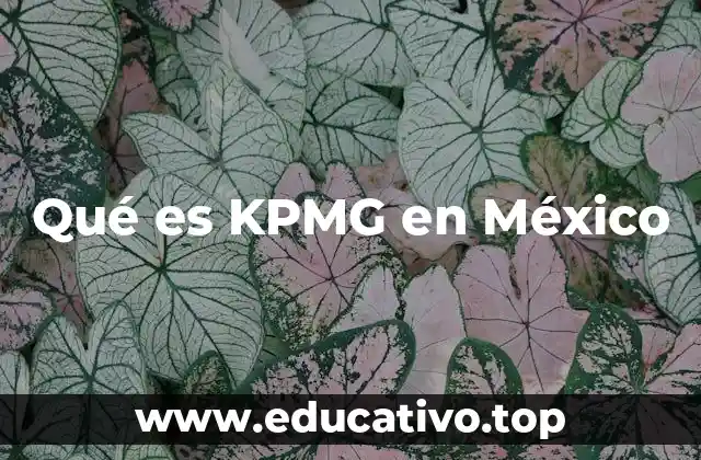 Qué es KPMG en México