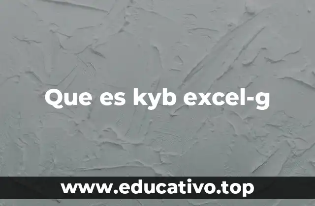 Que es kyb excel-g