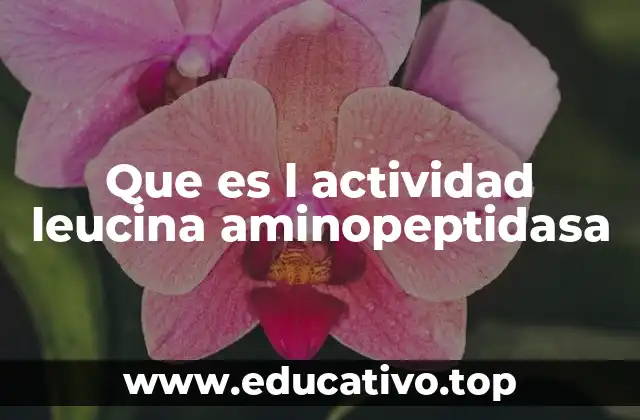 Que es l actividad leucina aminopeptidasa