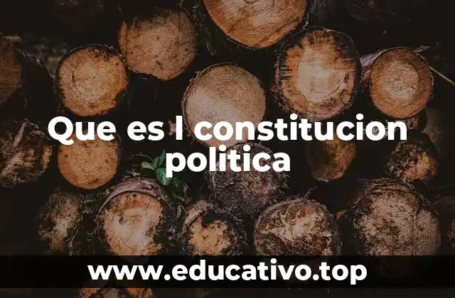 Que es l constitucion politica
