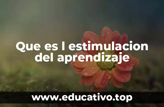 Que es l estimulacion del aprendizaje