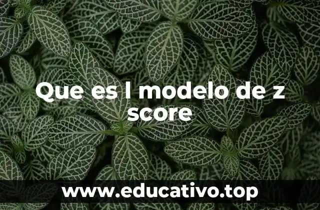Que es l modelo de z score