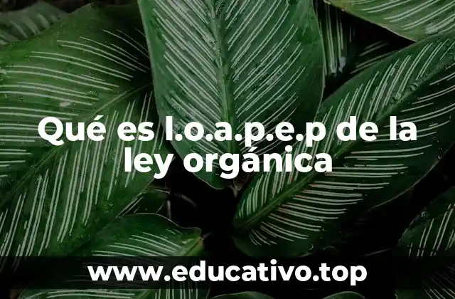 Qué es l.o.a.p.e.p de la ley orgánica