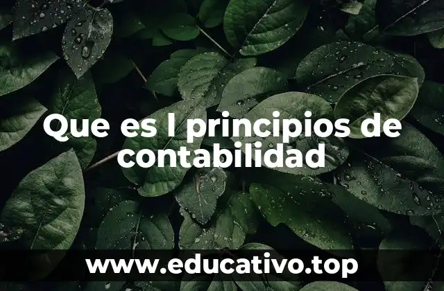 Que es l principios de contabilidad