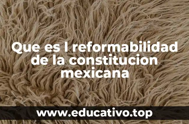 Que es l reformabilidad de la constitucion mexicana
