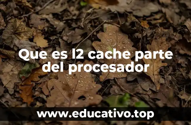 Que es l2 cache parte del procesador