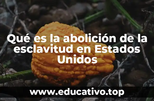 Qué es la abolición de la esclavitud en Estados Unidos