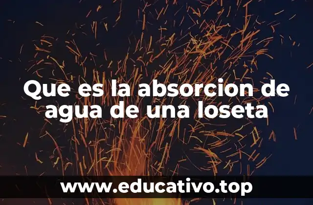 Que es la absorcion de agua de una loseta