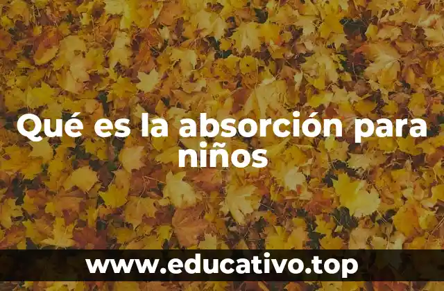 Qué es la absorción para niños