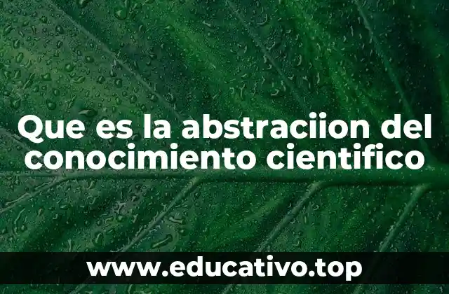 Que es la abstraciion del conocimiento cientifico