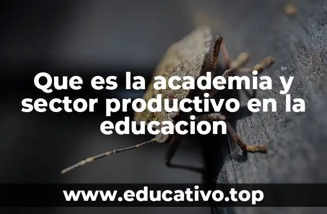Que es la academia y sector productivo en la educacion