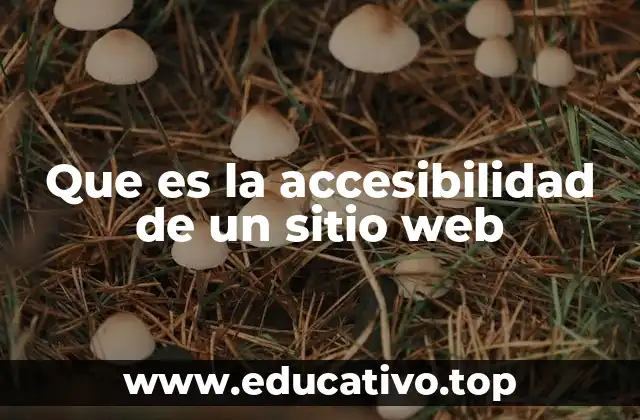 Que es la accesibilidad de un sitio web