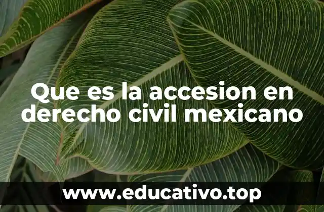 Que es la accesion en derecho civil mexicano