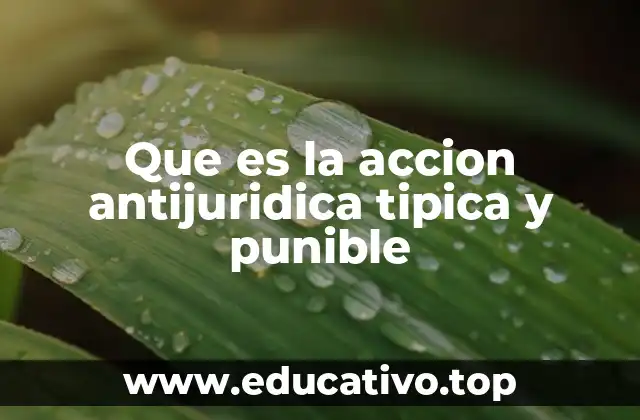 Que es la accion antijuridica tipica y punible