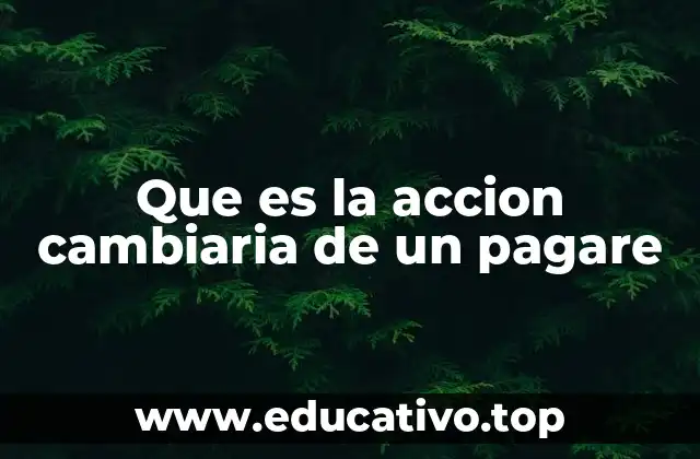Que es la accion cambiaria de un pagare