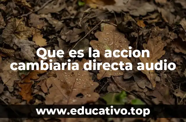 Que es la accion cambiaria directa audio